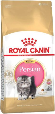 Persian Kitten Royal Canin Cat Food
