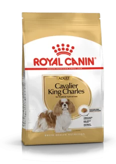 Cavalier King Charles Royal Canin Adult Dog Food