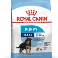 Maxi Royal Canin Large Breed Puppy Food
