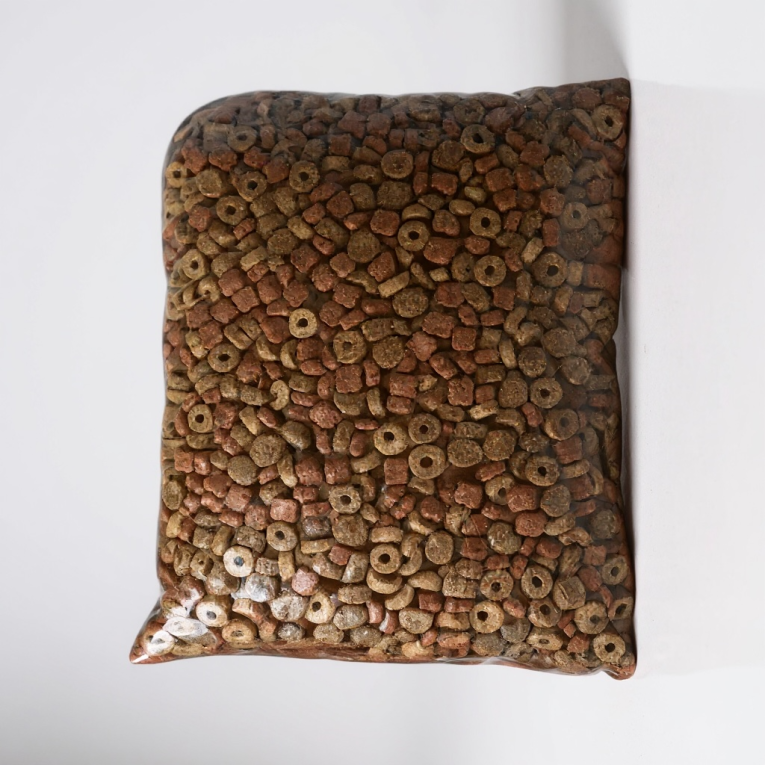 Photoroom_٢٠٢٦٠١٠٥_١٤١١٣٠