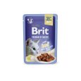 Brit Premium Cat Pouch with Beef Fillets in Jelly for Adult Cats