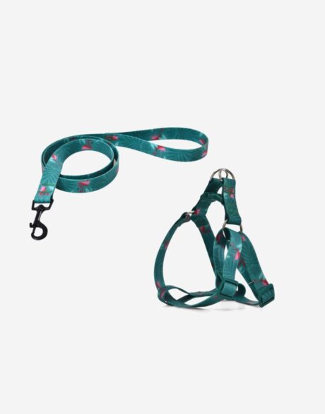 Naomi Harness+Leash YL 775 L