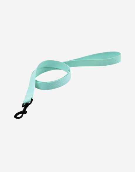 Naomi Leash YL109794-M