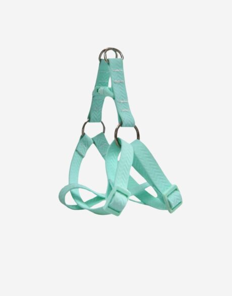 Naomi Harness YL109796M