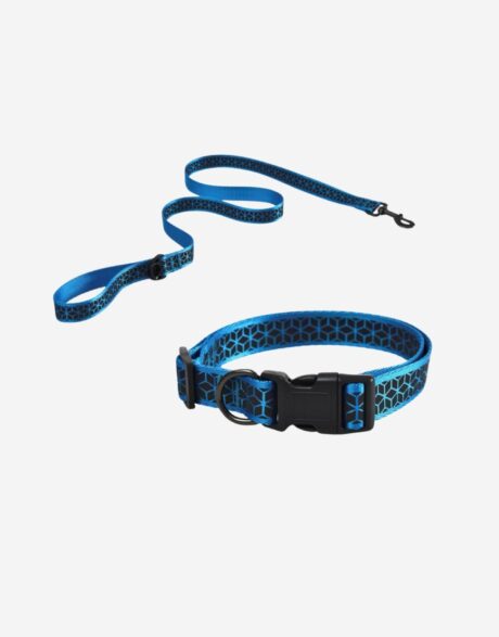 Naomi Collar+Leash YL107773-S