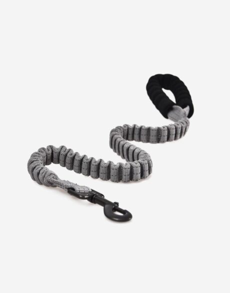 NAOMI  Leash YL107769