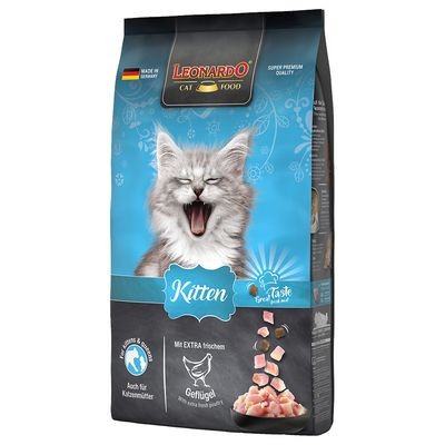 Leonardo Kitten 7.5