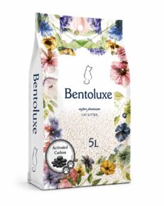 Bentoluxe Carbon 5L