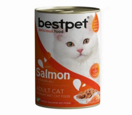 bestpet Salmon in Gravy Cats 400g