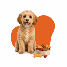 Dog Treats
