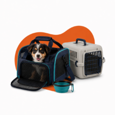 Carriers & Travel