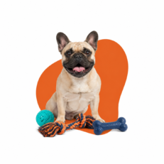 Dog Toys