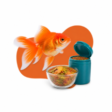 Fish Food