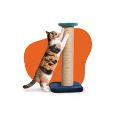 Cat Scratcher