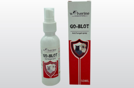 Wolverine Go Blot Anty Fungal Spray 50ML