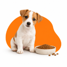 Puppy Dry Food