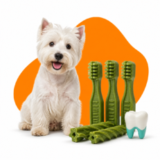 Dental Treats