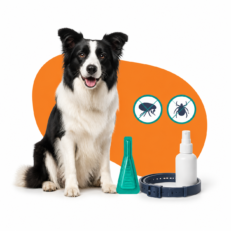 Flea & Tick