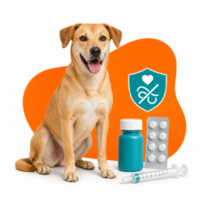 Heartworm & Dewormers