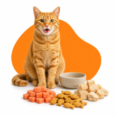 Cat Treats