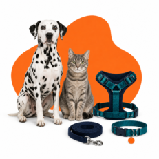 Leashes & Harnesses & Collars