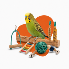 Bird Supplies