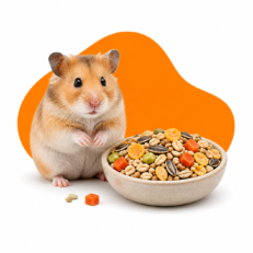 RODENTS