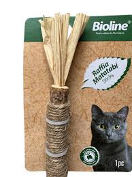 Bioline Raffia Sticks
