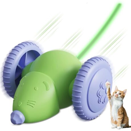 Cat Toy Mouse