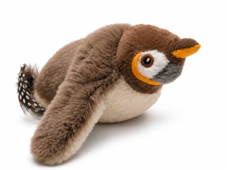 Flay Bird