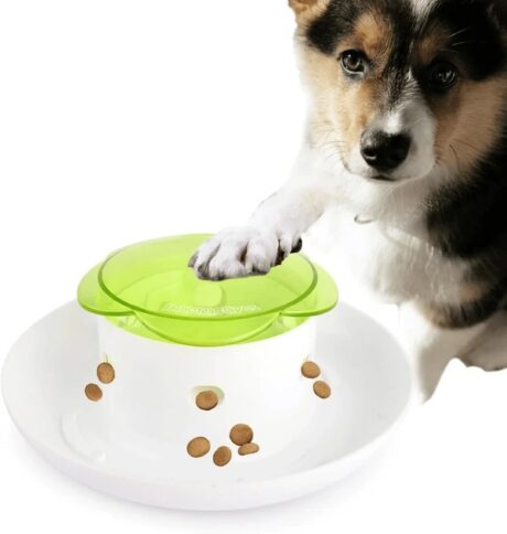Pet Press Slow Feeder