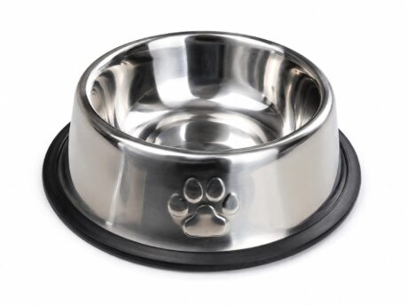 Stainless Bowl  1