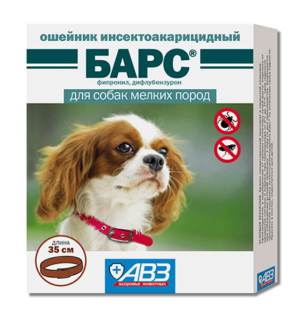 Bars Collar Dog Lengh 35 CM